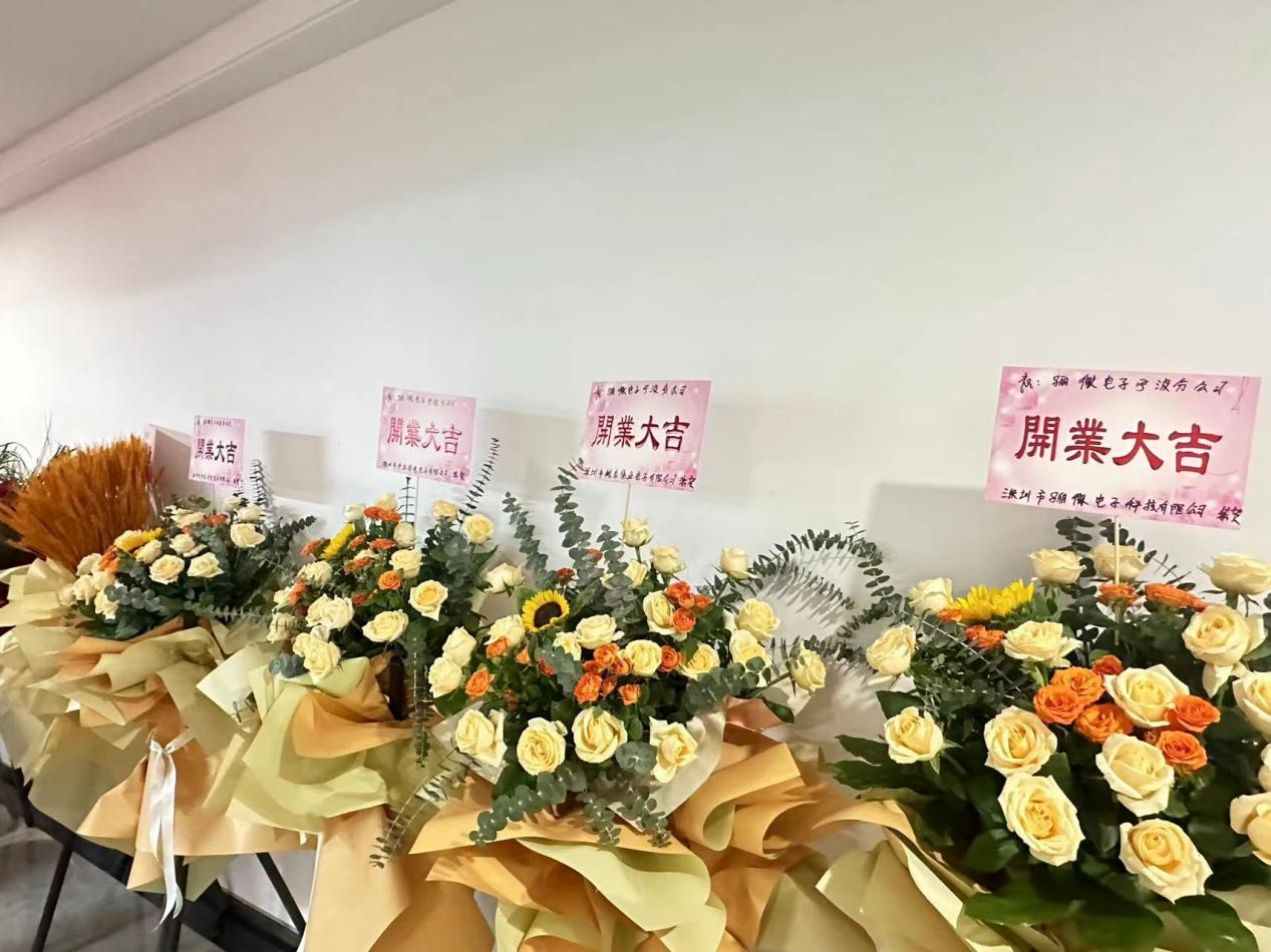深圳市骊微电子-宁波分公司